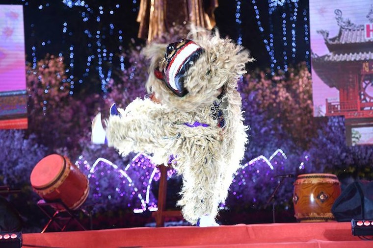 Mãn nhãn với Lễ hội hoa anh đào Nhật Bản- Hà Nội 2019 ​ ảnh 13