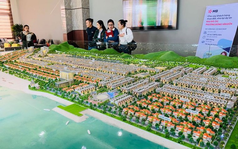 Bất động sản về giá trị thực, nhà đầu tư trở lại thị trường Vân Đồn ảnh 1