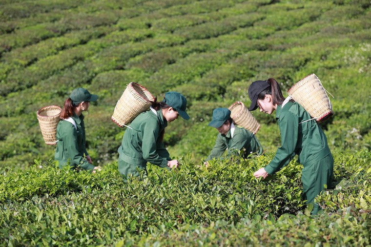 Bà Mai Kiều Liên trở thành Chủ tịch HĐQT GTNFOODS ảnh 3