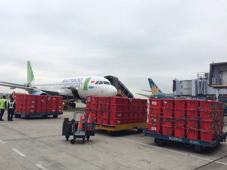 Bamboo Airways khai thác chuyến bay charter chở hàng cứu trợ đồng bào miền Trung ảnh 9