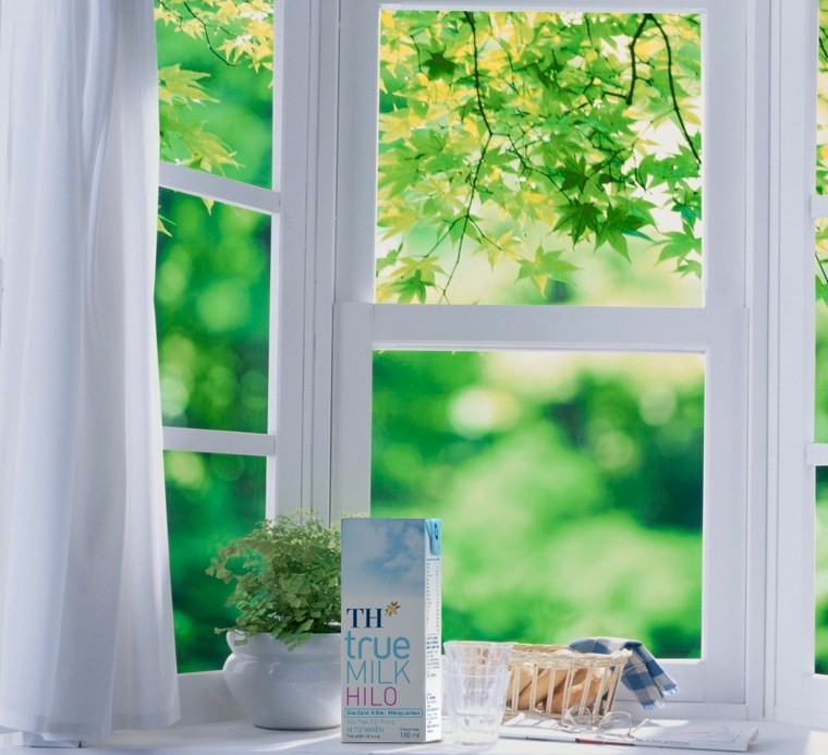 Tập đoàn TH ra mắt sản phẩm sữa tươi HILO trên thị trường Việt ảnh 1