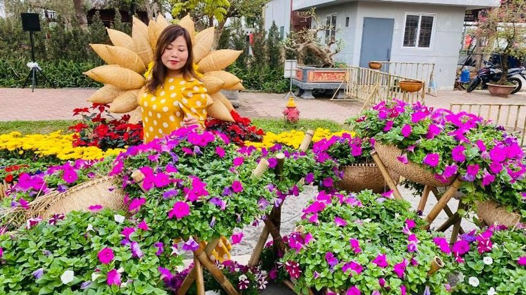 Hoa đồng, cỏ nội khoe sắc trên đường hoa Home Hanoi Xuan 2021 ảnh 2