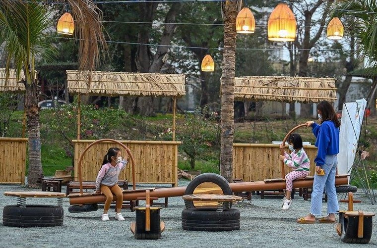 Hoa đồng, cỏ nội khoe sắc trên đường hoa Home Hanoi Xuan 2021 ảnh 8