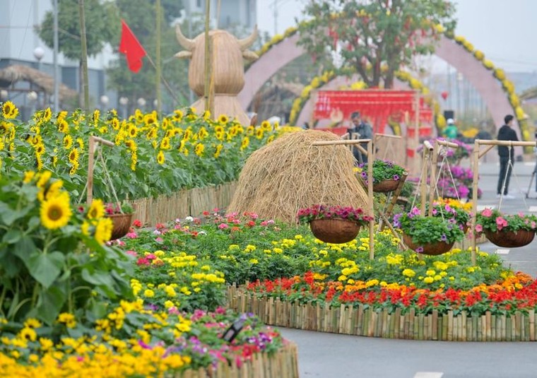 Hoa đồng, cỏ nội khoe sắc trên đường hoa Home Hanoi Xuan 2021 ảnh 3