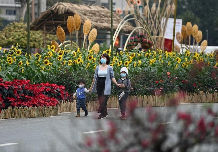 Hoa đồng, cỏ nội khoe sắc trên đường hoa Home Hanoi Xuan 2021 ảnh 6