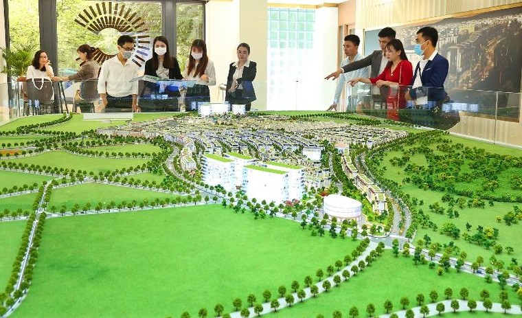 Meyhomes Capital Phú Quốc khai trương văn phòng tại trung tâm Quận 3 ảnh 1