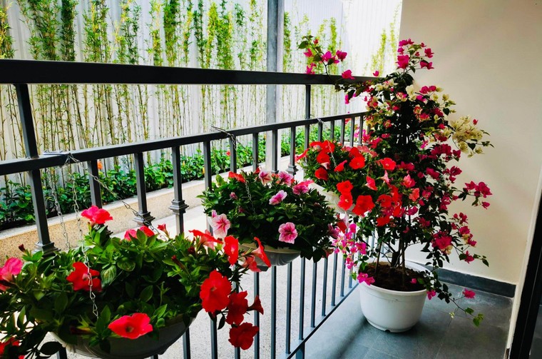 Hoà Bình Group muốn xây 10.000 căn nhà ở xã hội trong năm 2022 ảnh 3