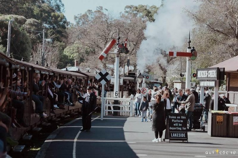 Puffing Billy Railway –Tàu lửa hơi nước trăm năm tuổi đáng đi nhất thế giới ảnh 2