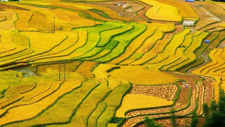 Đô thị du lịch- nhìn từ hiệu ứng ‘vòng xòe Nghĩa Lộ” ảnh 4