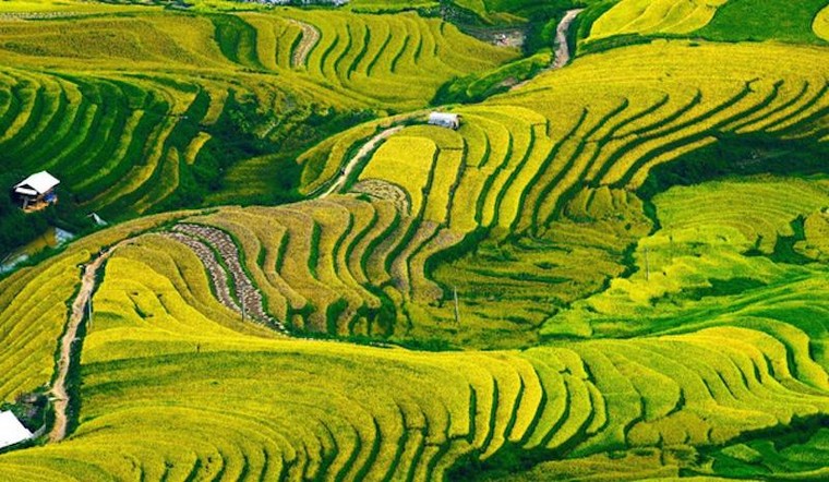 Đô thị du lịch- nhìn từ hiệu ứng ‘vòng xòe Nghĩa Lộ” ảnh 2