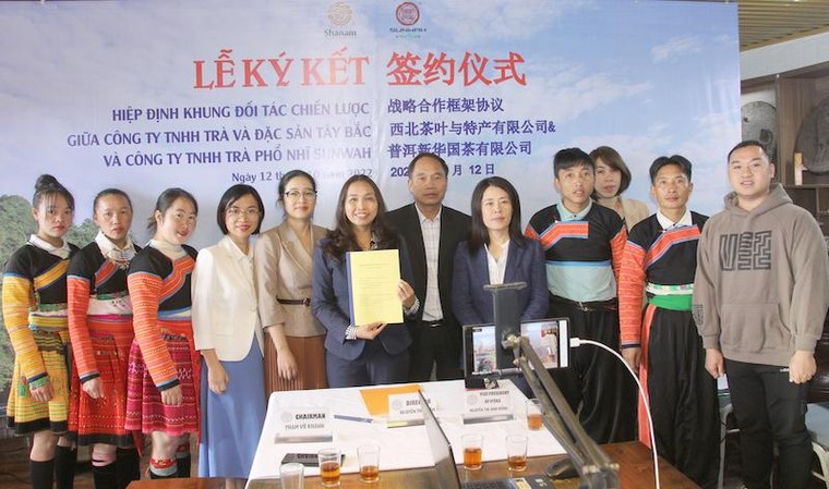 Shanam hợp tác cùng Sunwah Hong Kong đưa chè shan tuyết cổ thụ Việt Nam ra thị trường quốc tế ảnh 1