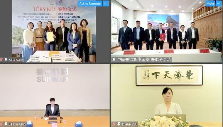 Shanam hợp tác cùng Sunwah Hong Kong đưa chè shan tuyết cổ thụ Việt Nam ra thị trường quốc tế ảnh 2