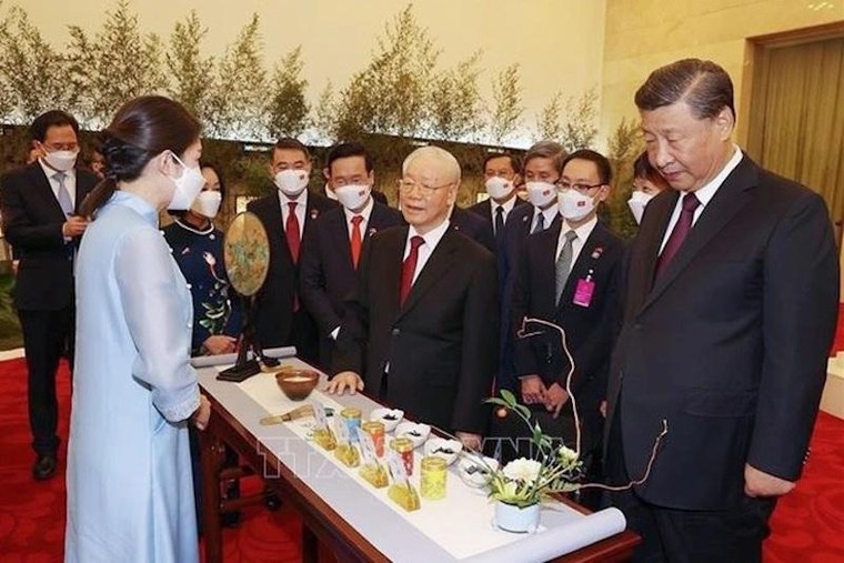 Từ chung trà Đại hồng bào Vũ Di nghĩ tới trà shan tuyết cổ thụ Việt Nam ảnh 1