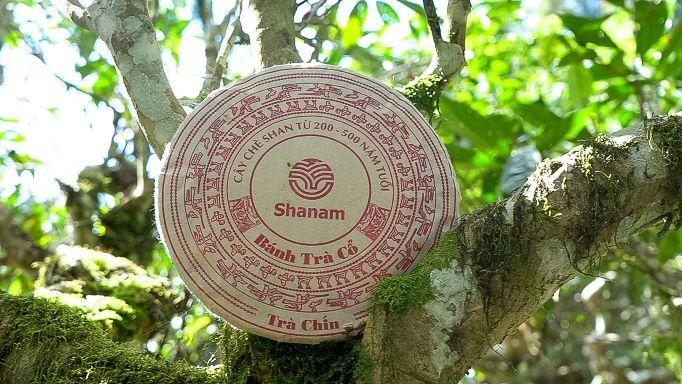 Shanam mở bán quà tết 2023 với 10 combo trà quý, giá tiết kiệm ảnh 1