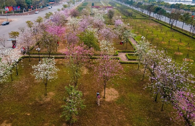 Mê Linh bứt tốc tới mục tiêu cực tăng trưởng mới của thành phố Bắc sông Hồng ảnh 7