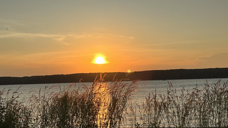 Giới trẻ phát sốt trước mùa cỏ hồng đẹp ngất ngây ở ấp đảo Thiềng Liềng ảnh 3