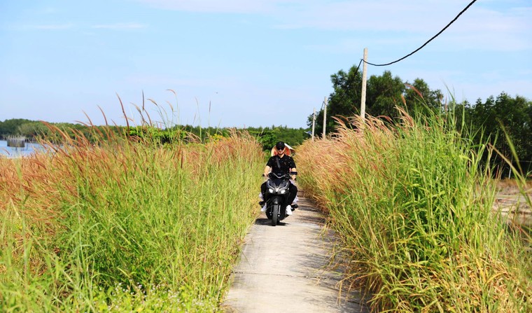 Giới trẻ phát sốt trước mùa cỏ hồng đẹp ngất ngây ở ấp đảo Thiềng Liềng ảnh 2