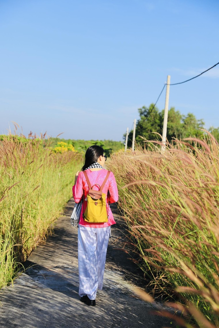 Giới trẻ phát sốt trước mùa cỏ hồng đẹp ngất ngây ở ấp đảo Thiềng Liềng ảnh 4