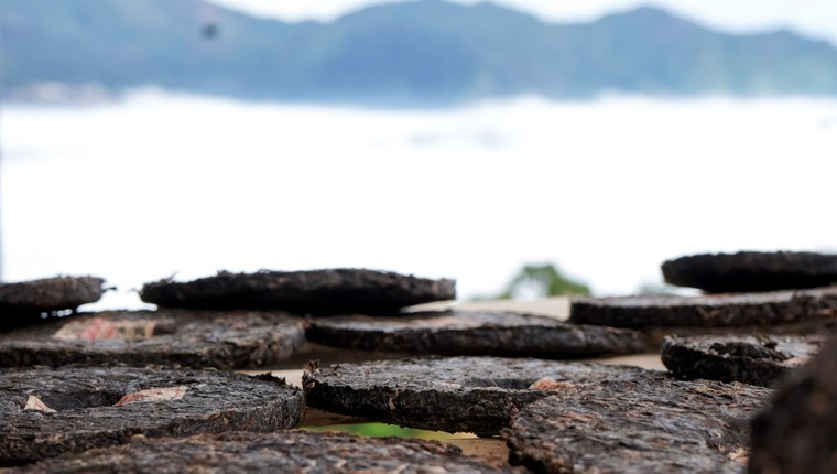 Khi trà thành di sản, được đánh số và quý hơn…vàng ảnh 8