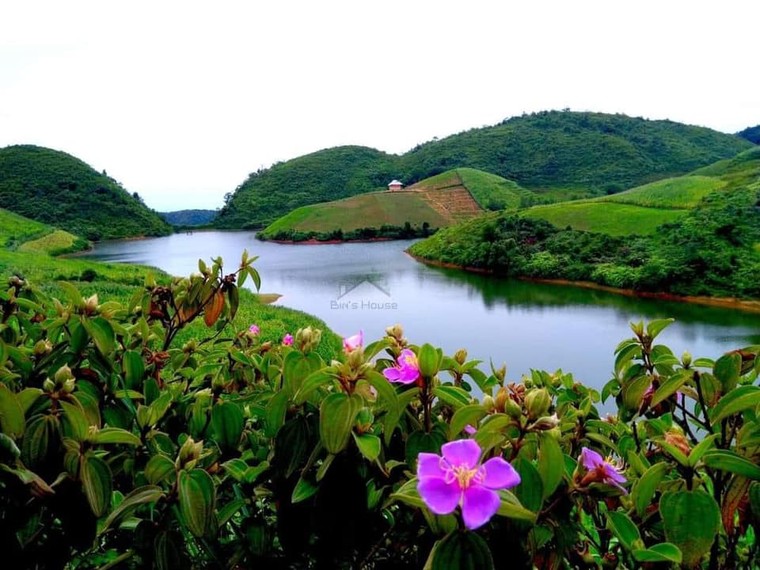 Hạ cánh…Pù Bin ảnh 8