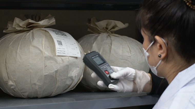 Trà cổ thụ thành “tài sản số” hấp dẫn nhà đầu tư tinh hoa ảnh 1