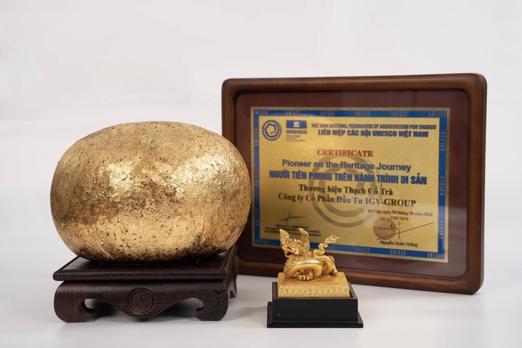 Thạch Cổ Trà nộp hồ sơ bảo hộ thương hiệu tại Mỹ, chuẩn hóa lộ trình vươn ra thị trường trà thế giới ảnh 3