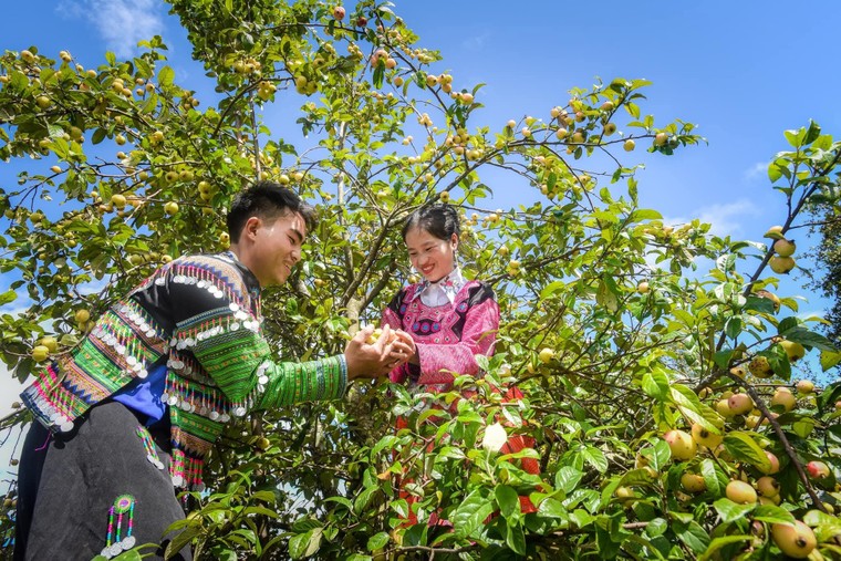 Trọn vẹn tình xuân Tây Bắc trong hộp quà tết Shanam ảnh 1