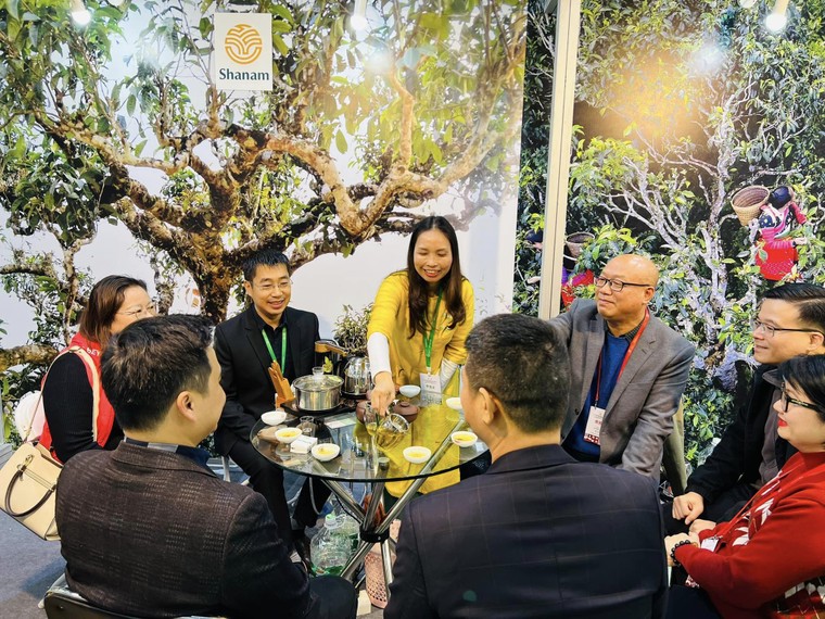 Thị trường quà tết 2026: trà thượng hạng lên ngôi, hoa quả sấy dẻo được yêu thích ảnh 2