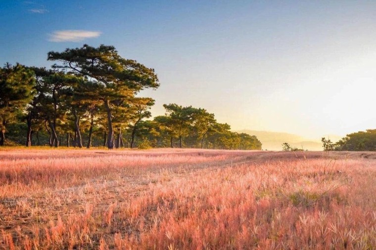 Hàng tỷ đô la sẽ đổ về Gia Lai, một dự án lớn chuẩn bị khởi công đón cơ hội vàng trong chu kỳ tăng trưởng mới ảnh 2