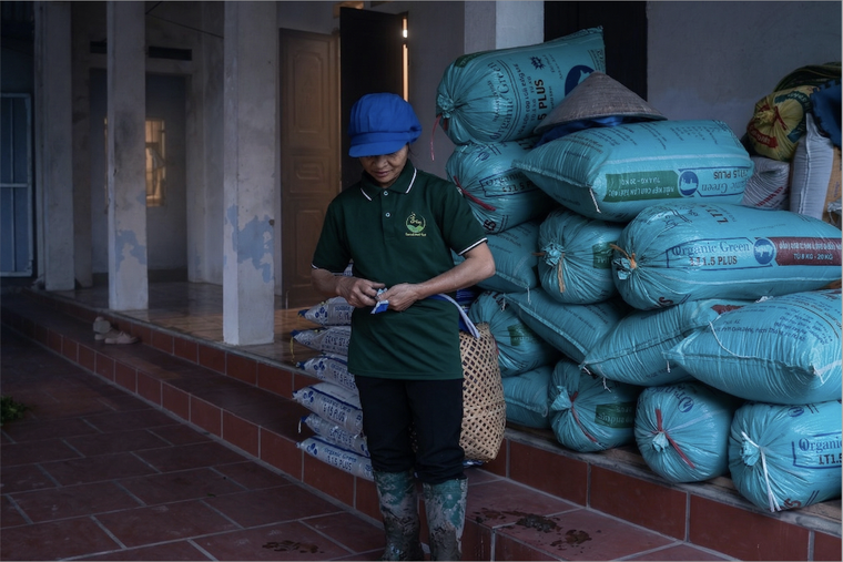 Phu chè và nỗi vất vả mưu sinh ảnh 1