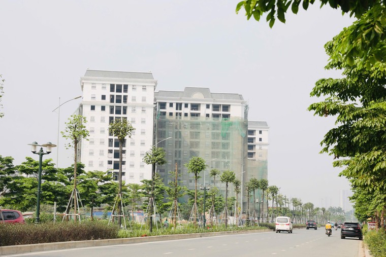 Chủ tịch Trịnh Văn Quyết trực tiếp kiểm tra, đôn đốc tiến độ các dự án trọng điểm, nhà đầu tư hào hứng dõi theo ảnh 4