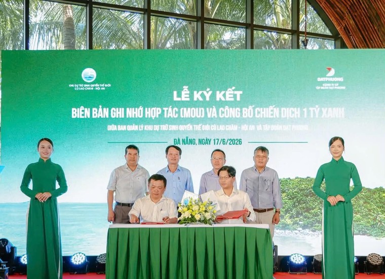 Bài toán 1 tỷ xanh của Đạt Phương ảnh 1