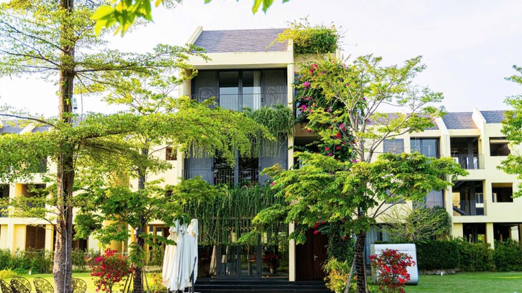 Bài toán 1 tỷ xanh của Đạt Phương ảnh 5