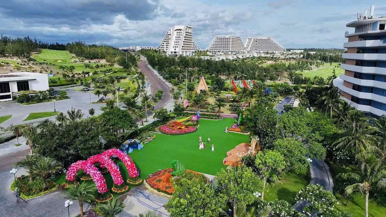 Chưa từng có: Rừng hoa đại ngàn khoe sắc bên phố biển Quy Nhơn ảnh 12