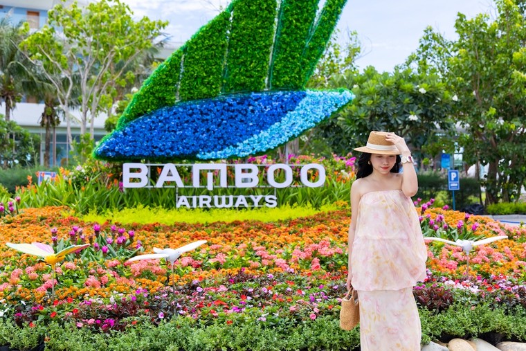 Chưa từng có: Rừng hoa đại ngàn khoe sắc bên phố biển Quy Nhơn ảnh 9