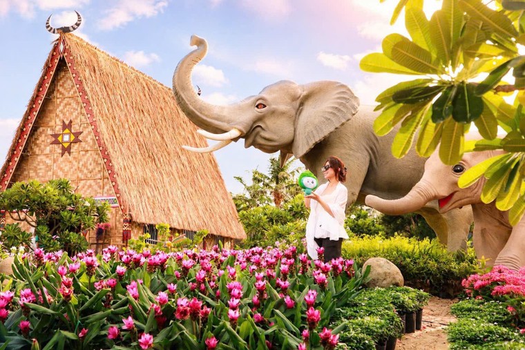 Chưa từng có: Rừng hoa đại ngàn khoe sắc bên phố biển Quy Nhơn ảnh 7