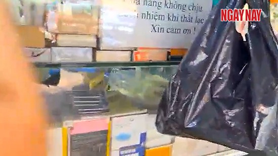 “Kho” linh kiện điện thoại kém chất lượng ở Sài Gòn: Cửa hàng Hoàng Kim và Hoàng Dung có được bảo kê hay không? ảnh 2