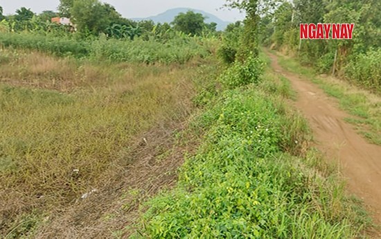 Đồng Nai: Dân mòn mỏi chờ cấp Giấy CNQSD đất ảnh 1