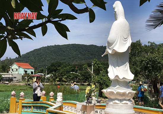 Rong ruổi Cù Lao Chàm ảnh 2