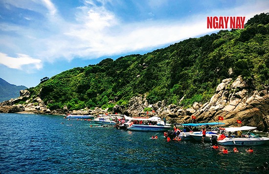 Rong ruổi Cù Lao Chàm ảnh 7