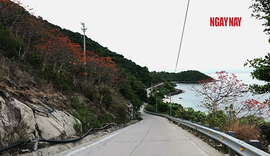 Rong ruổi Cù Lao Chàm ảnh 4