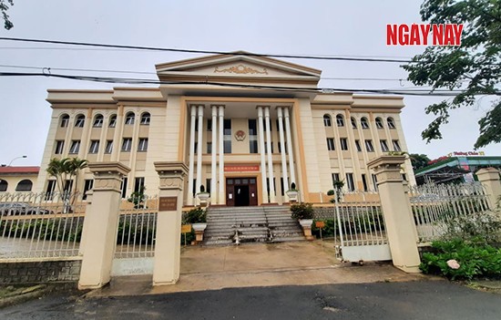 Vụ bán đất vườn mất luôn đất ở: ‘Tuyên án quá bất hợp lí’ ảnh 3