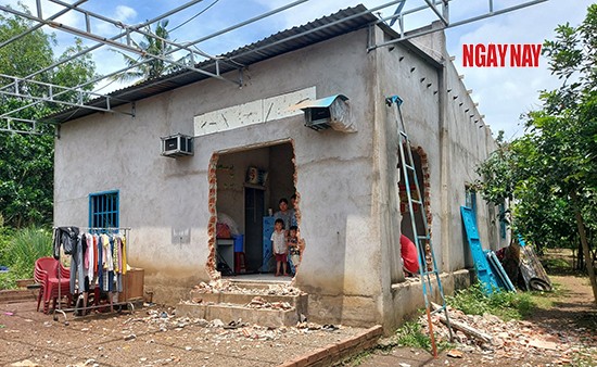 Vụ bị đánh và đuổi ra khỏi nhà sau khi vay tiền: Nhiều dấu hiệu lừa đảo người tâm thần ảnh 2