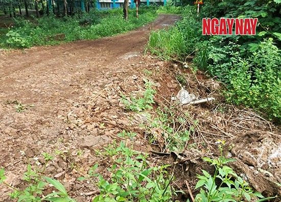 Nhiều bất cập của trường tiểu học giữa… rừng cao su ảnh 1