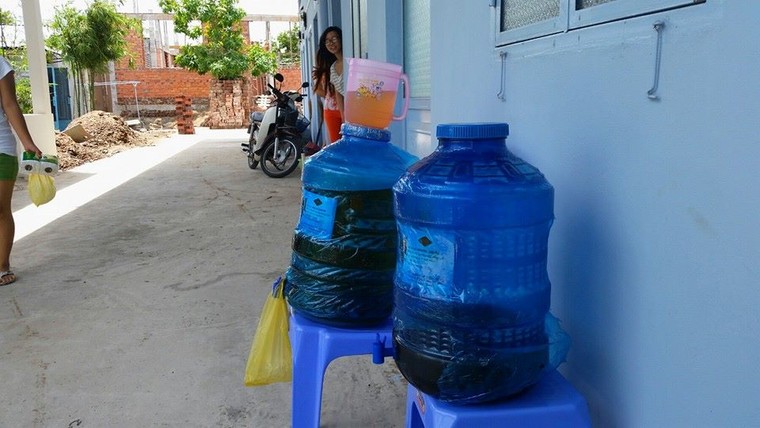 Đi qua ngày COVID-19 – Bài 3: Thảo thơm phố xá! ảnh 6