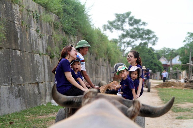 Không đón Hè trong bốn bức tường ảnh 1