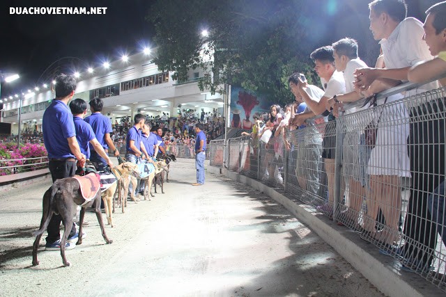 Đặt cược Thể thao được luật hóa: Từ khoản thất thoát hàng tỷ USD mỗi năm… ảnh 4