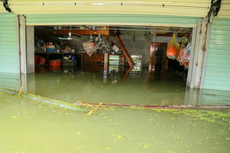 Lụt thì lút cả... xã ảnh 6