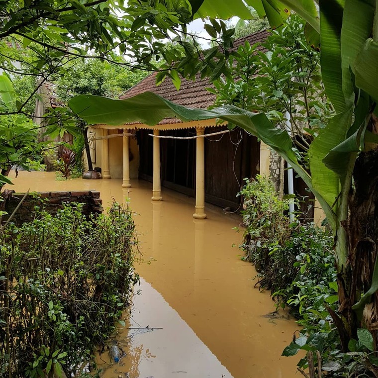 Đi qua mùa lũ ảnh 1