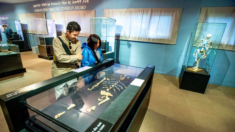 Thung lũng Awash ảnh 2